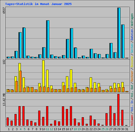 Tages-Statistik im Monat Januar 2025