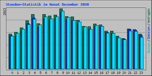 Stunden-Statistik im Monat Dezember 2020