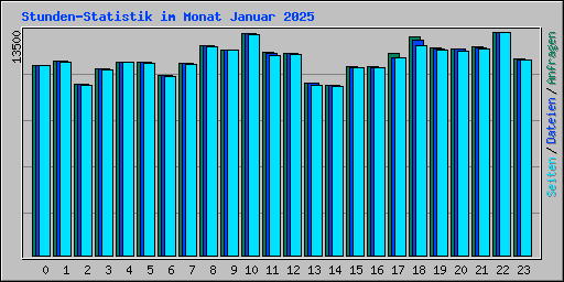 Stunden-Statistik im Monat Januar 2025
